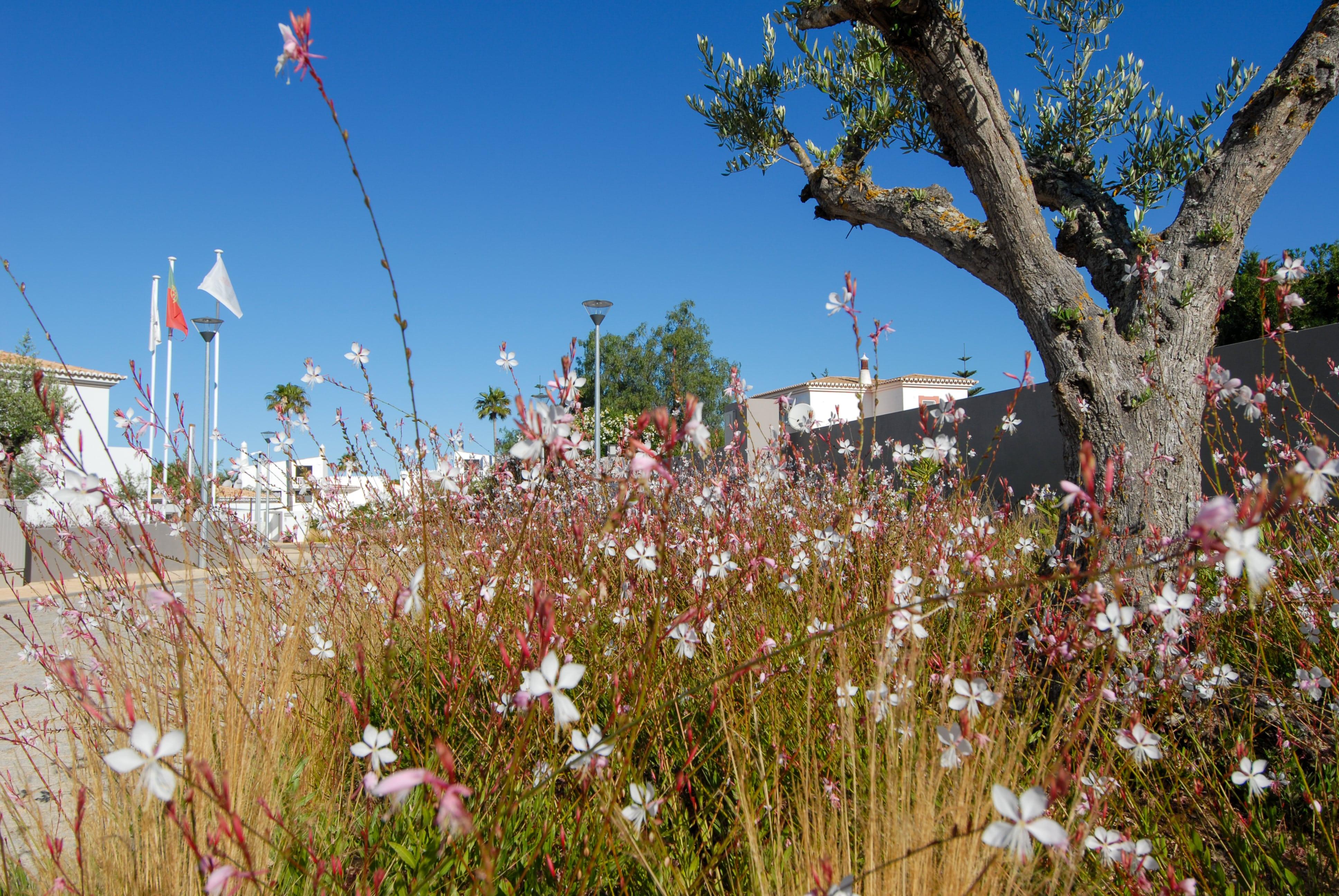 Quinta Do Algarvio Village การ์วอยโร ภายนอก รูปภาพ