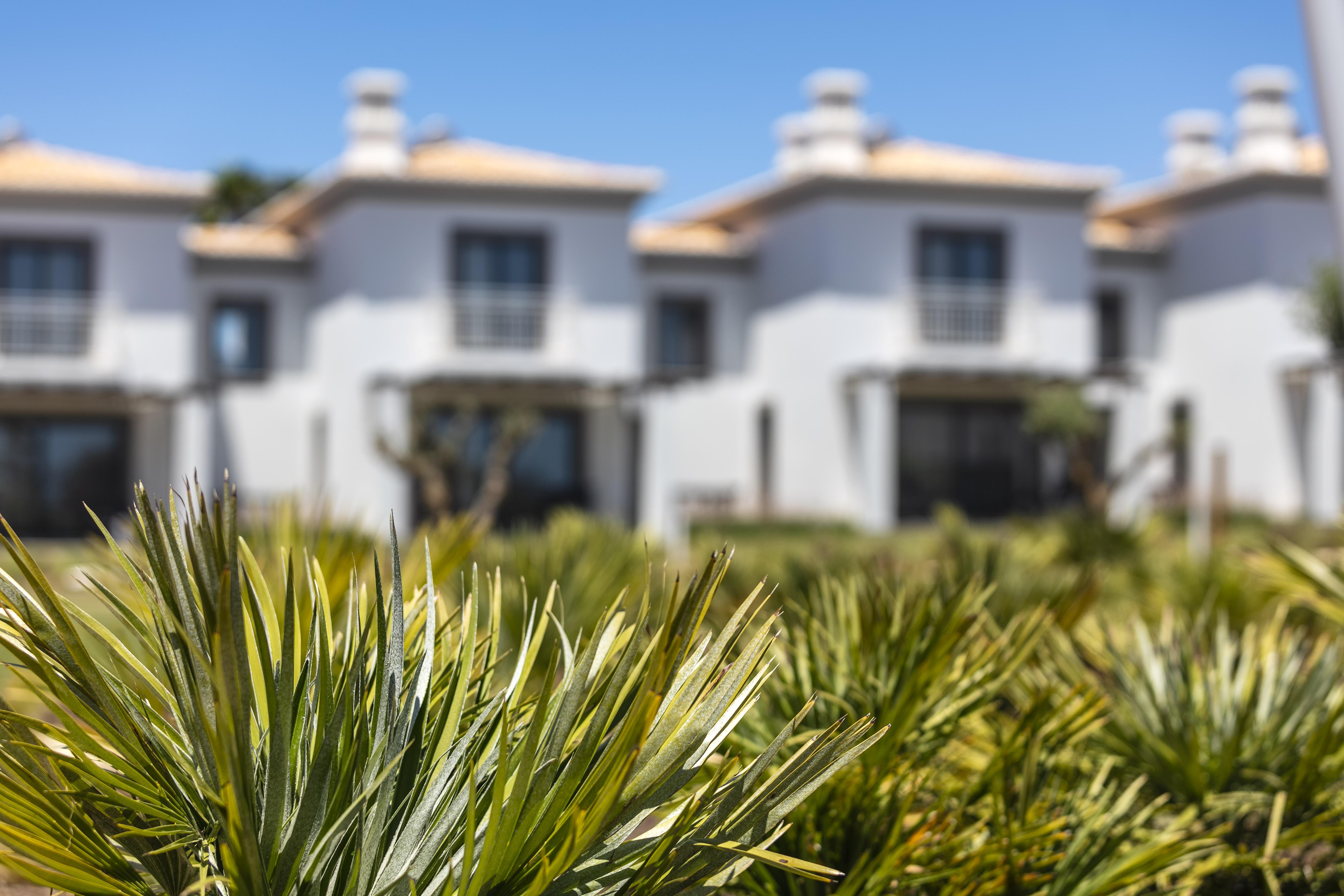 Quinta Do Algarvio Village การ์วอยโร ภายนอก รูปภาพ